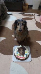 犬イラストケーキ