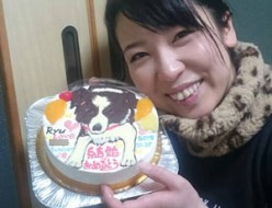犬のイラストケーキ