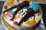 カブトムシとクワガタケーキ