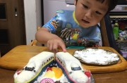 新幹線ＭＡＸＥ4系２台立体ケーキ