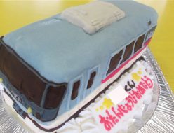 西武鉄道 特急レッドアロー号