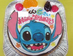 スティッチケーキ
