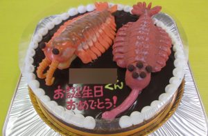 ｱﾉﾏﾛｶﾘｽとオパビニア立体ケーキ