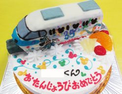 鉄道 ジャケット 署名 コナン ケーキ 通販 Nag A Jp