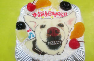 愛犬イラストケーキ
