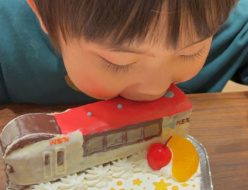 成田エクスプレス電車立体ケーキ
