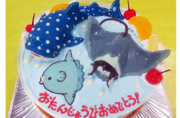 ジンベエザメとマンタとマンボウのケーキ