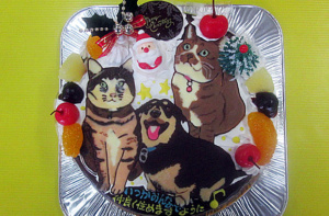犬猫イラストケーキ