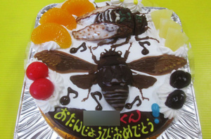 あぶらぜみとミンミンゼミ立体ケーキ