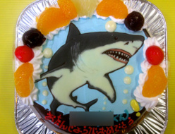 ホホシロザメケーキ