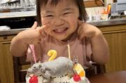 かば立体ケーキ